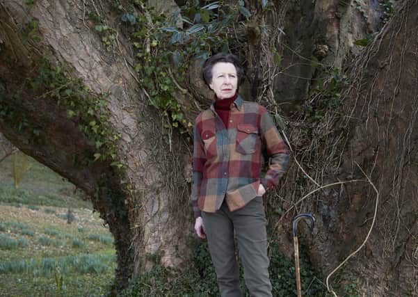One of three official photographs taken by John Swannell of The Princess Royal which have been released to celebrate her 70th birthday. Picture : John Swannell / Camera Press