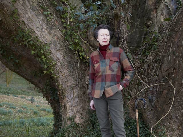 One of three official photographs taken by John Swannell of The Princess Royal which have been released to celebrate her 70th birthday. Picture : John Swannell / Camera Press