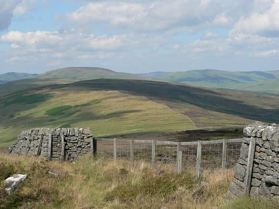 Langholm Moor, part of land being sold by Buccleuch Estates