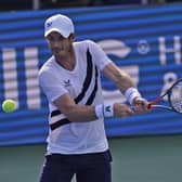 Andy Murray has been given a wild card for the US Open Picture: AP
