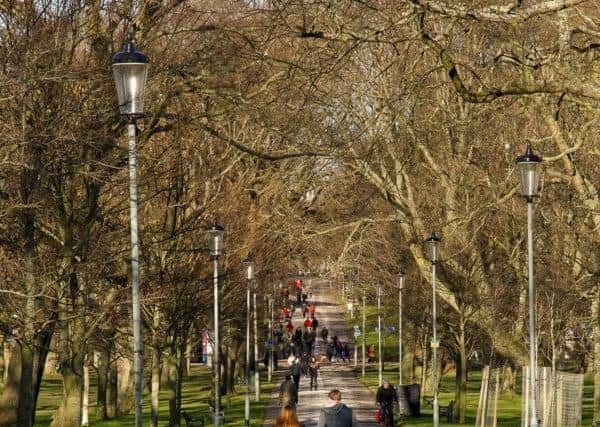 The Meadows in Edinburgh. Picture: TSPL