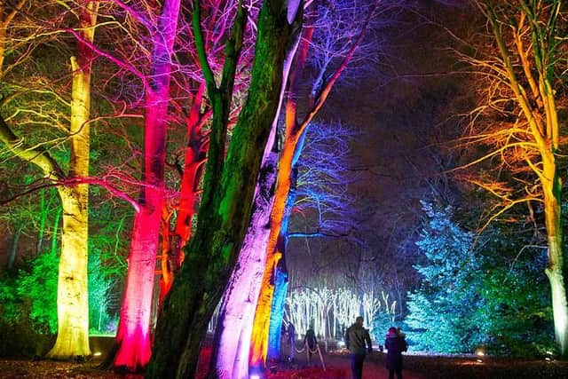 Christmas At The Botanics runs from November 26 to January 3