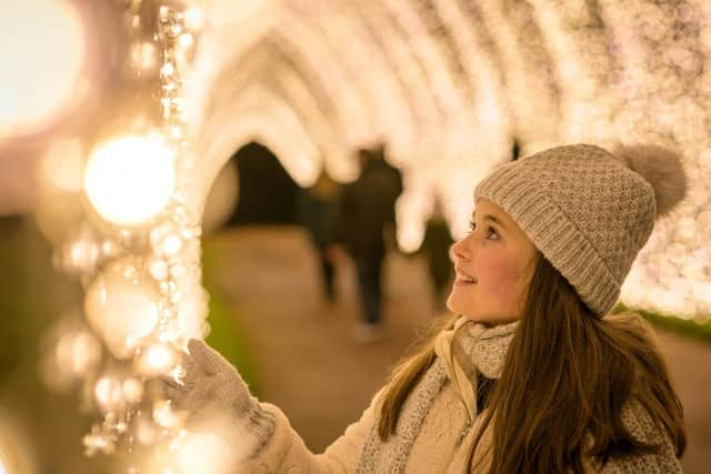 Christmas At The Botanics returning for its longest ever run