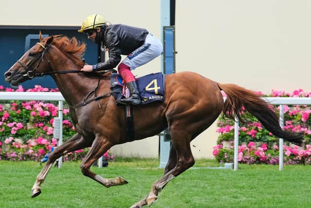 Stradivarius, with Frankie Dettori aboard, wins his third-successive Gold Cup in emphatic style at Royal Ascot in June. Picture: Getty Images