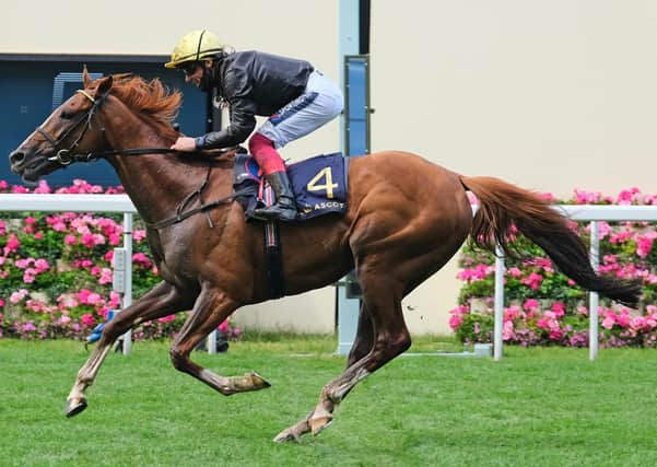 Stradivarius, with Frankie Dettori aboard, wins his third-successive Gold Cup in emphatic style at Royal Ascot in June. Picture: Getty Images