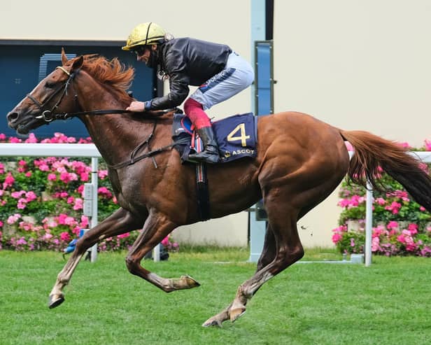 Stradivarius, with Frankie Dettori aboard, wins his third-successive Gold Cup in emphatic style at Royal Ascot in June. Picture: Getty Images