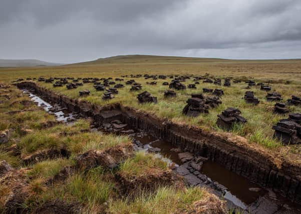 The A'Mhoine on the Moine Peninsula in Sutherland, the proposed site for the planned spaceport,