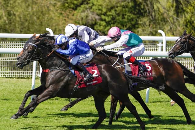 Mohaather (No 2) gets his nose in front before winning the Qatar Sussex Stakes at Goodwood. Picture: Alan Crowhurst/Getty
