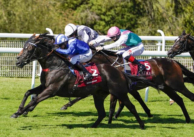 Mohaather (No 2) gets his nose in front before winning the Qatar Sussex Stakes at Goodwood. Picture: Alan Crowhurst/Getty