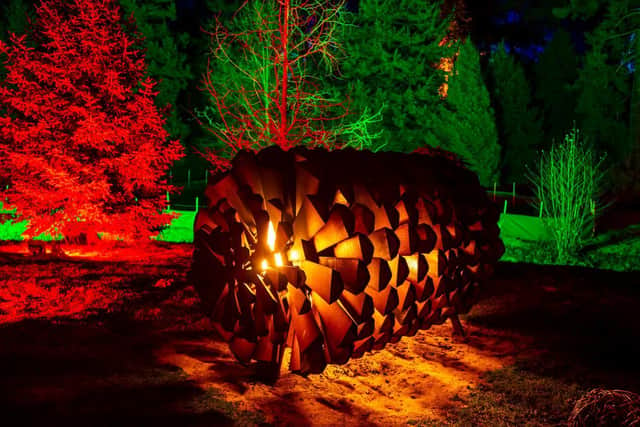 Christmas at the Botanics will feature brand new festive light installations