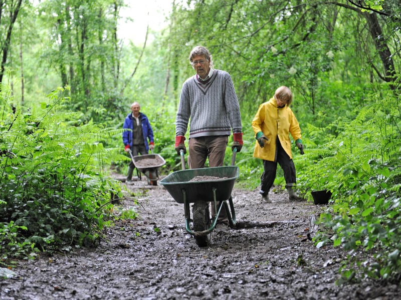 Owlbeech Woods. -photo by Steve Cobb ENGSUS00120121206123206
