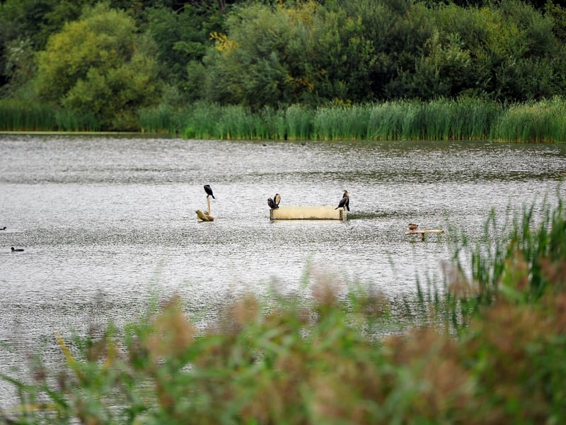 Warnham Nature Reserve. Pic Steve Robards SR2009101 SUS-201009-121131001