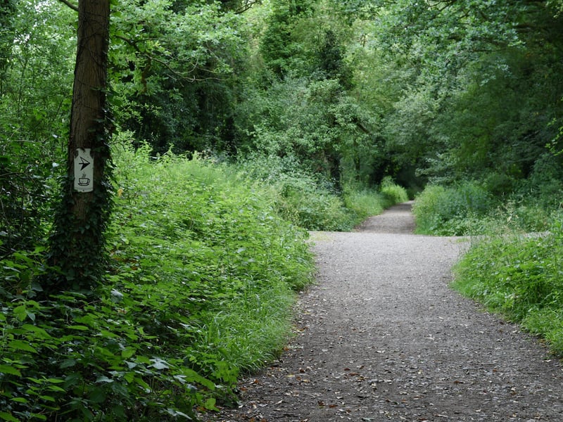 The Downs Link near Horsham, West Sussex. Picture: Liz Pearce 19/06/2018 LP180202 SUS-180619-163048008