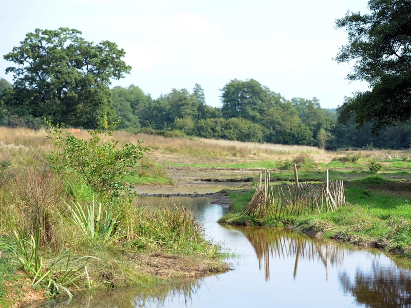 Chesworth Farm, Horsham -photo by Steve Cobb SUS-141009-162005001