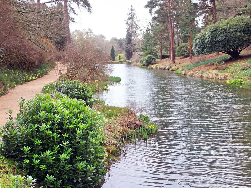 DM1940899a.jpg. Leonardslee Lakes Gardens, Lower Beeding, reopens. Photo by Derek Martin Photography. SUS-190404-140616008