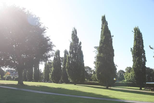 DM1987056a.jpg. Scenic. Horsham park. Photo by Derek Martin Photography. SUS-190109-113013008