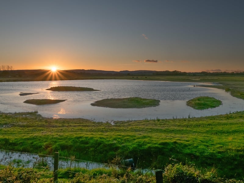 RSPB Pulborough Brooks wetlands. Photo by Graham Osborne