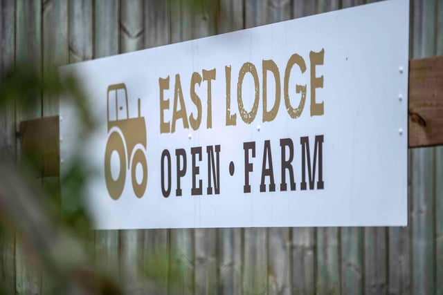 The Open Farm joins many services already available at east Lodge Farm, including a horse riding school, cattle farm and a shop.

Credit: Kirsty Edmonds
