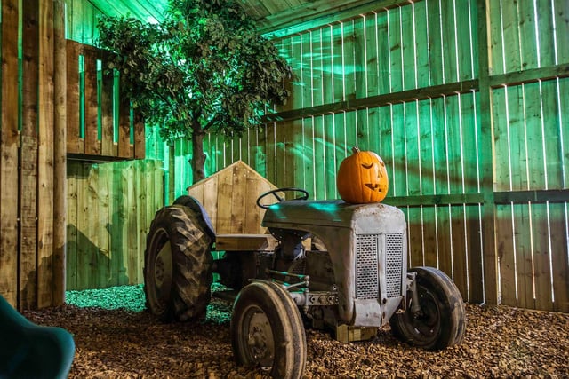 The Open Farm joins many services already available at east Lodge Farm, including a horse riding school, cattle farm and a shop.

Credit: Kirsty Edmonds