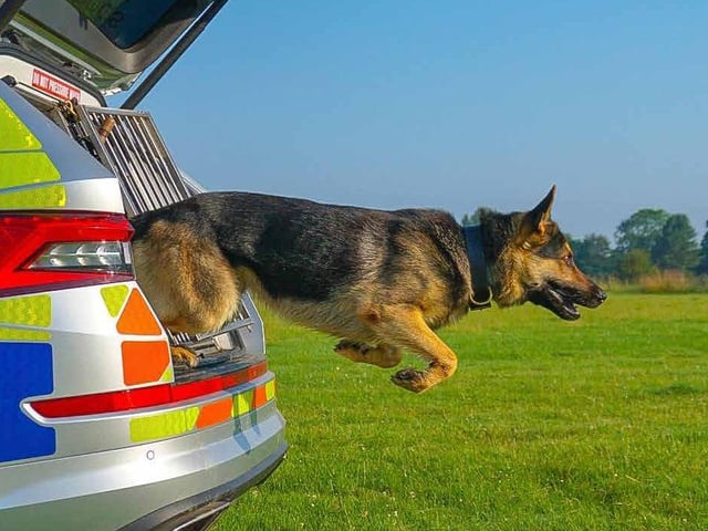 June - Police Dog Bryn.