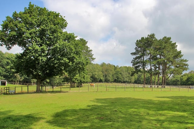 Equestrian country home in Crowborough, from Zoopla