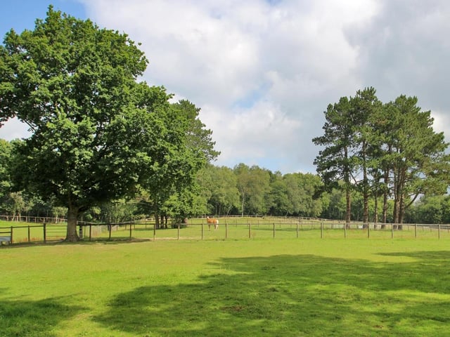 Equestrian country home in Crowborough, from Zoopla