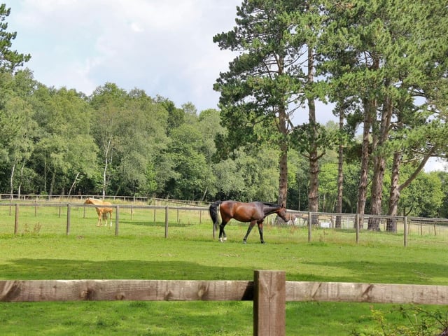 Equestrian country home in Crowborough, from Zoopla