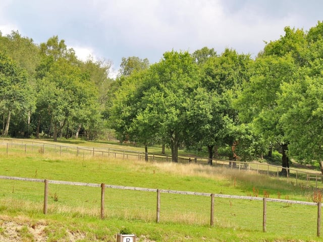 Equestrian country home in Crowborough, from Zoopla