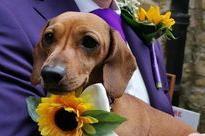 Erika Aldous's dog Ruby was flower girl at her wedding.