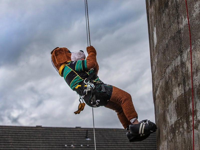 Northampton Saints' mascot, Bernie, abseils down the National Lift Tower to raise money for the NSF (Saturday, May 22).