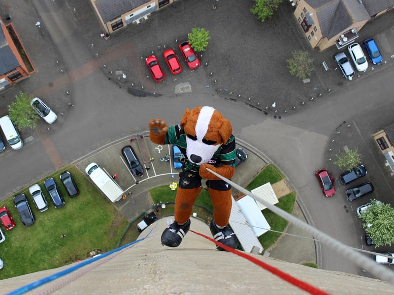 Northampton Saints' mascot, Bernie, abseils down the National Lift Tower to raise money for the NSF (Saturday, May 22).