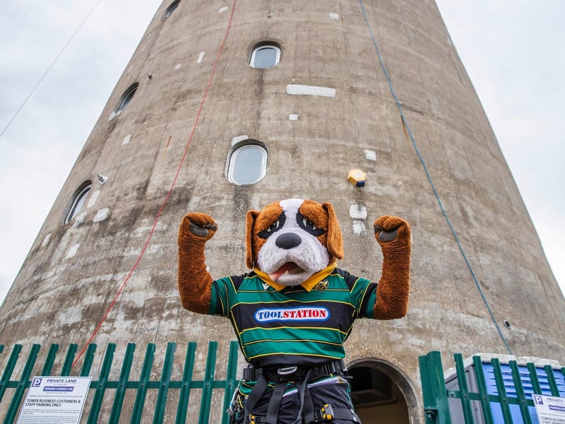 Northampton Saints' mascot, Bernie, abseils down the National Lift Tower to raise money for the NSF (Saturday, May 22).