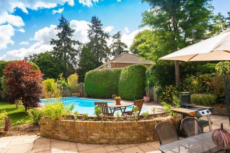 Back garden