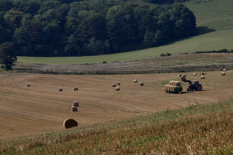 Martin Rumary went for a walk on the Downs near Folkington and took this autumnal shot of the farmer bringing in the hay bales. SUS-210917-111538001