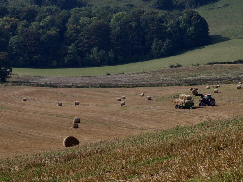 Martin Rumary went for a walk on the Downs near Folkington and took this autumnal shot of the farmer bringing in the hay bales. SUS-210917-111538001