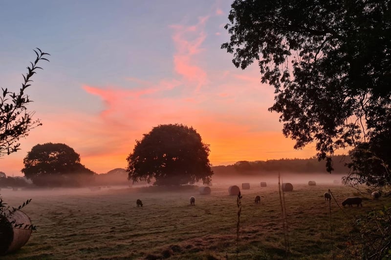 Early September morning in a Hellingly field, by Clare Callaghan. SUS-210917-115335001