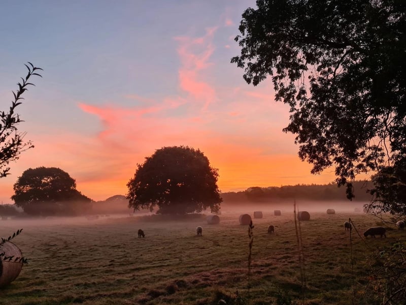 Early September morning in a Hellingly field, by Clare Callaghan. SUS-210917-115335001