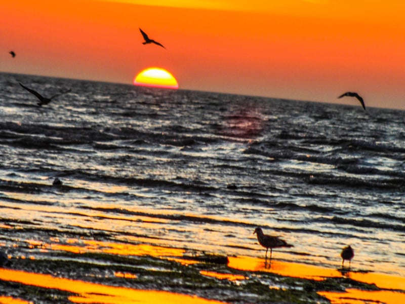 September sunrise near Eastbourne Bandstand, taken by John Stillwell with a Canon EOS 700D. SUS-210917-115822001