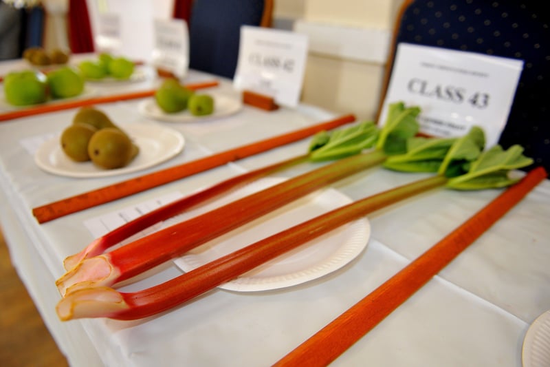 Ferring Gardening Club autumn show. Pictures: Steve Robards SR2109111