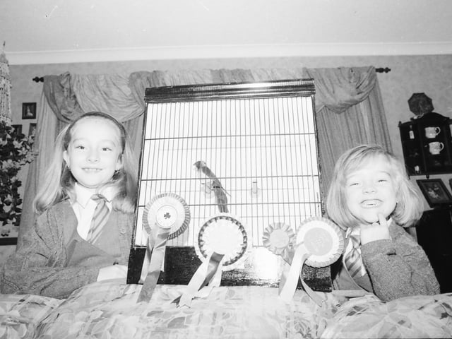 Danielle and Erin Kearney, Oakfield Road, pictured after their caged birds won Junior Foreign and Paradise Whydah at the City of Derry Caged Bird Society’s annual show in St. Columb’s Park.