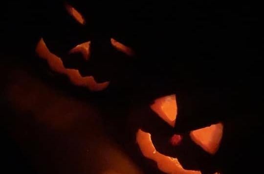 Pumpkin - Stacey Bradley.