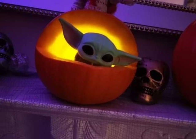 Pumpkin - Kirsty Doherty.