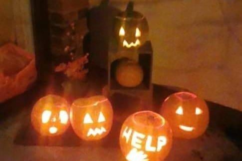 Pumpkin - Nicole Gourley.