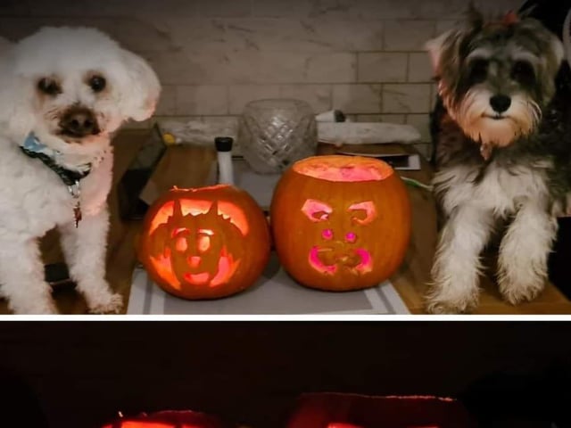 Pumpkin - L Uí Dhufaigh.