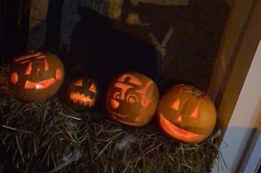 Pumpkin - Shannon Canning.