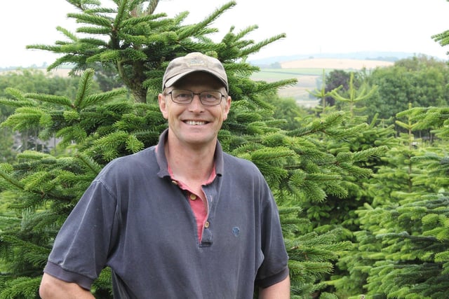 Tree farmer Tony Johnston runs NI Farm Forestry, the largest growers and
retailers of Christmas trees in Northern Ireland.