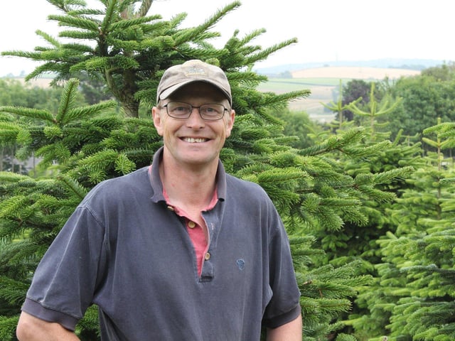 Tree farmer Tony Johnston runs NI Farm Forestry, the largest growers and
retailers of Christmas trees in Northern Ireland.
