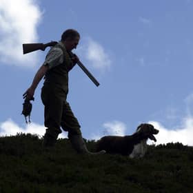 It is argued that grouse shooting is good for the rural economy and the environment