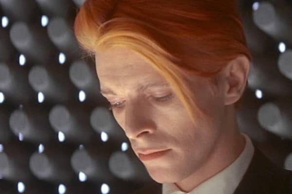 David Bowie: 'endlessly intriguing'