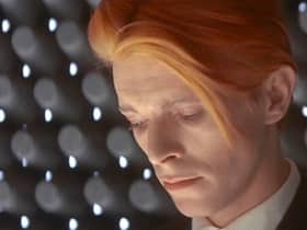 David Bowie: 'endlessly intriguing'